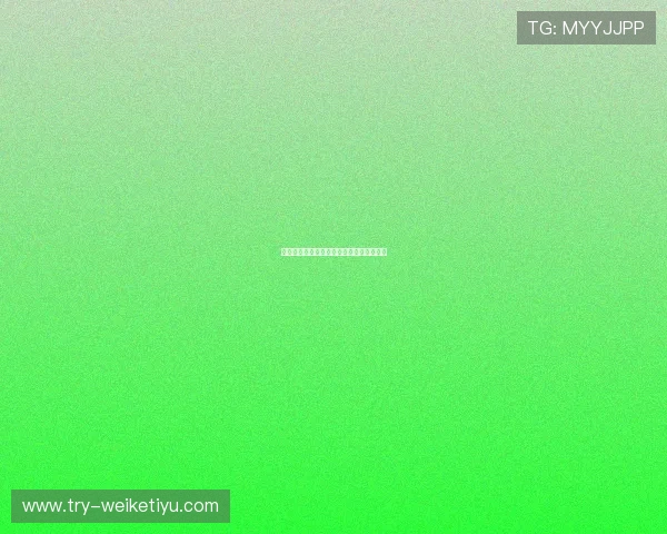 沙特队备战情况与世界杯比赛状态全面解析